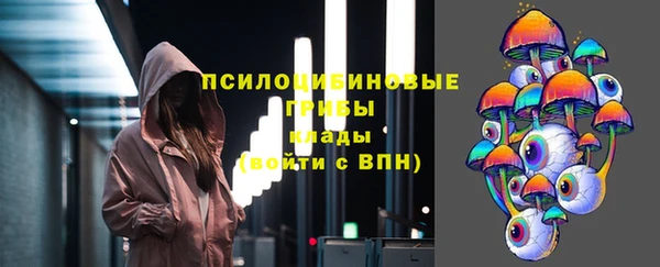 мет Ельня