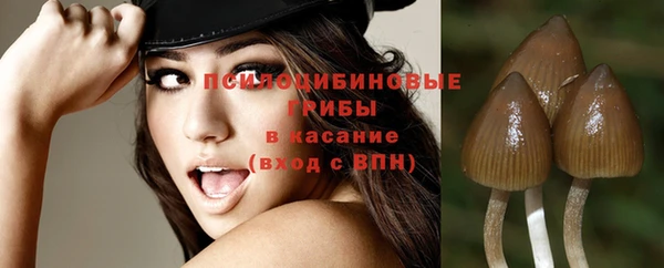 мет Ельня