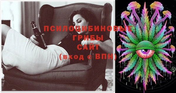 ешки Елабуга