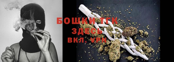 мет Ельня